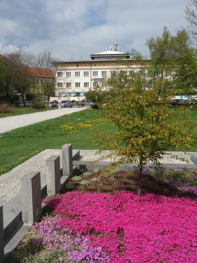 Life Hostel Slovenia Radovljica Zewnętrze zdjęcie